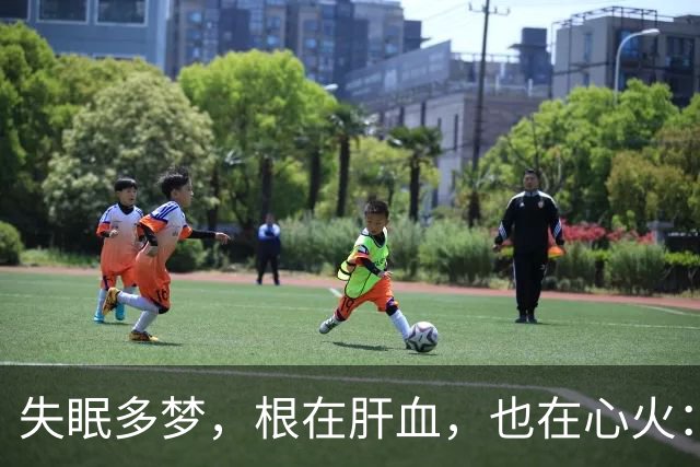 失眠多梦，根在肝血，也在心火：一个中成药，清心柔肝，沾床就睡