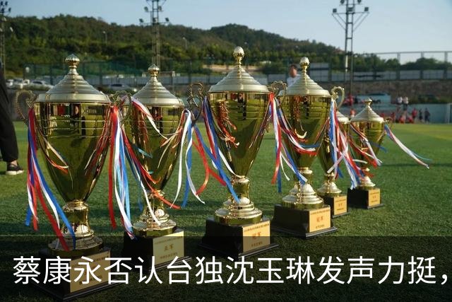 蔡康永否认台独沈玉琳发声力挺，曝其财富自由够普通人花两三辈子