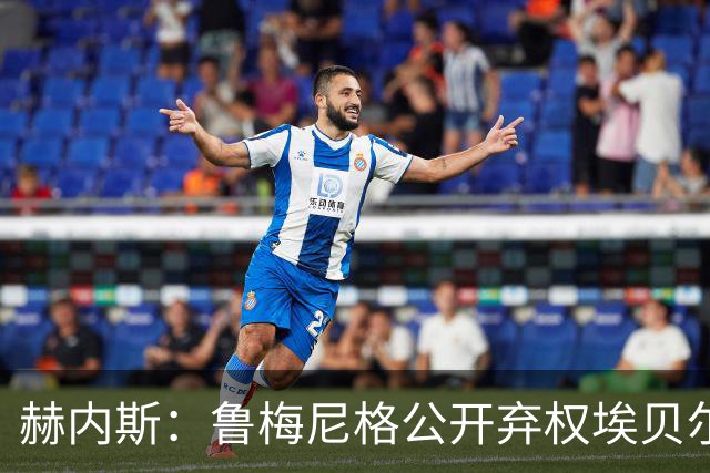 赫内斯：鲁梅尼格公开弃权埃贝尔投票没必要