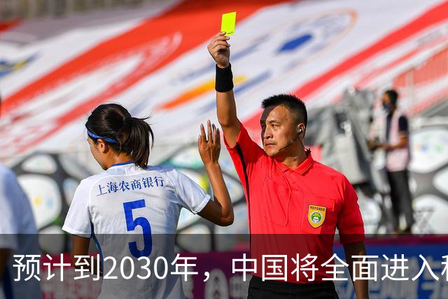 预计到2030年，中国将全面进入租房时代，房子会越来越难卖