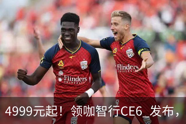 4999元起！领咖智行CE6 发布，新大洲本田旗下电摩